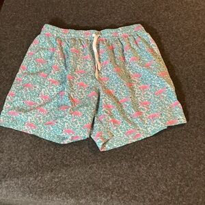 Chubbies Teal and Pink Athletic Shorts